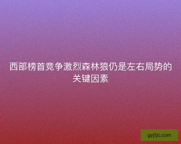 西部榜首竞争激烈森林狼仍是左右局势的关键因素 西部榜首竞争激烈森林狼仍是左右局势的关键因素