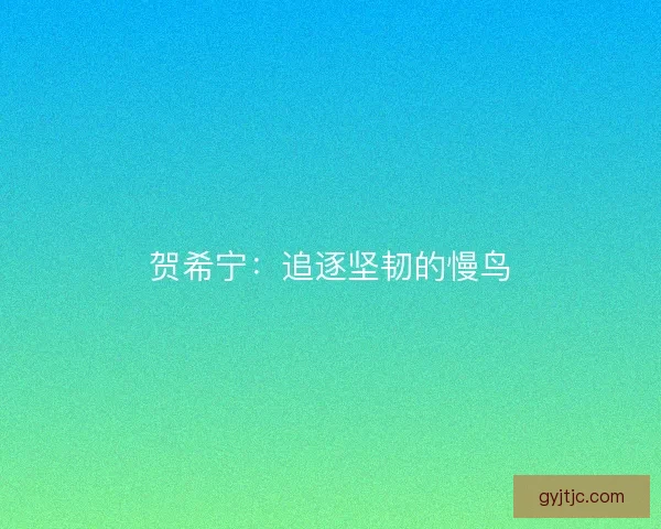贺希宁：追逐坚韧的慢鸟