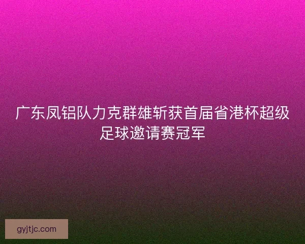 广东凤铝队力克群雄斩获首届省港杯超级足球邀请赛冠军