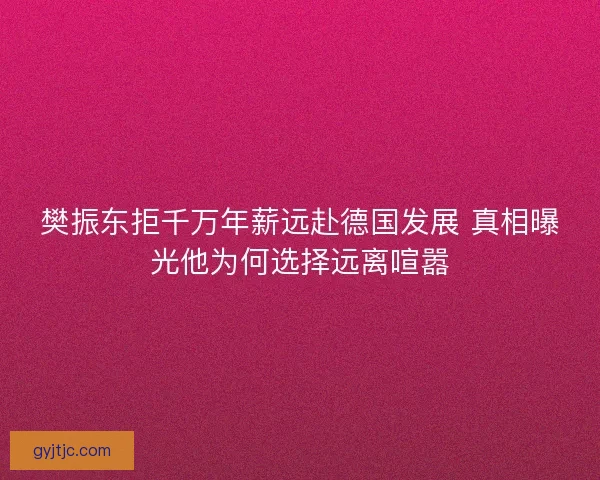 樊振东拒千万年薪远赴德国发展 真相曝光他为何选择远离喧嚣 樊振东拒千万年薪远赴德国发展 真相曝光他为何选择远离喧嚣